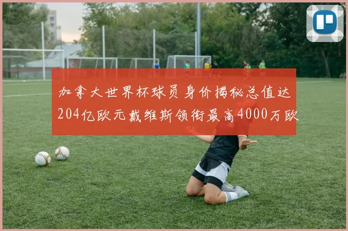 加拿大世界杯球员身价揭秘总值达204亿欧元戴维斯领衔最高4000万欧