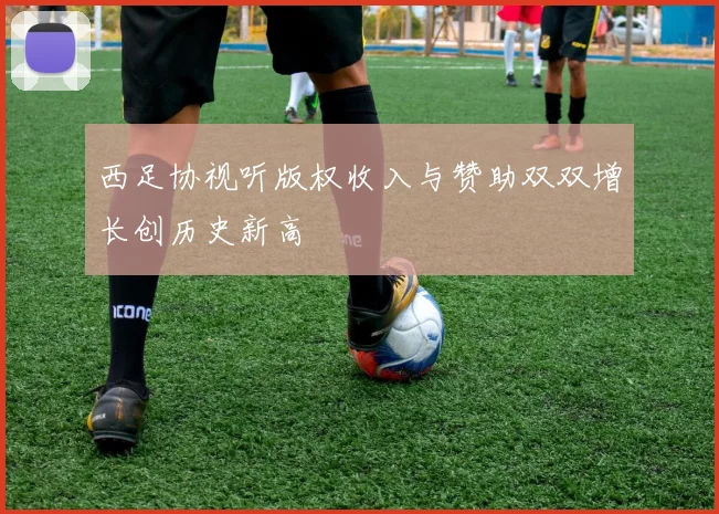 西足协视听版权收入与赞助双双增长创历史新高