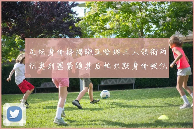 足坛身价榜揭晓亚哈姆三人领衔两亿奥利塞紧随其后帕尔默身价破亿