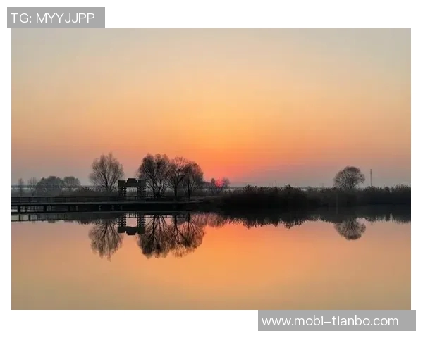 文班深入研究进攻时机力求每次出手都成为最佳选择的秘诀与心得分享